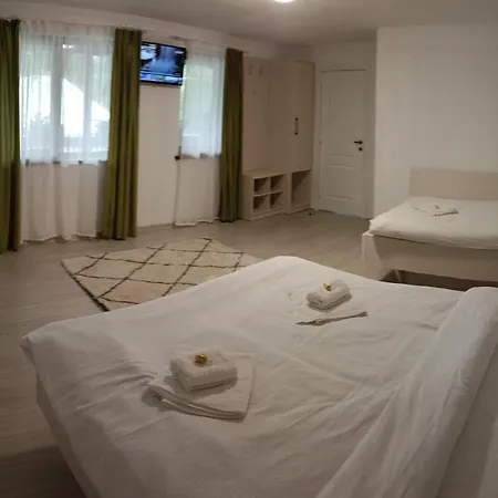 Casa Luca Guest house Ceahlau