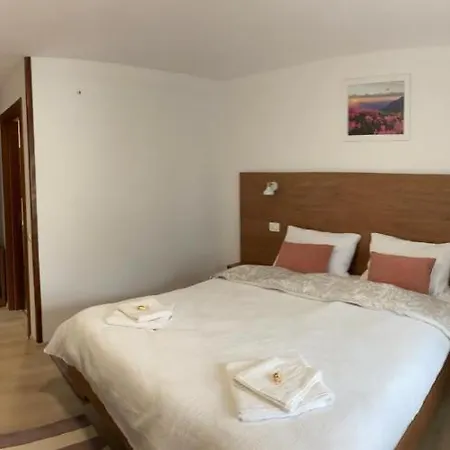 Guest house Casa Luca Ceahlau